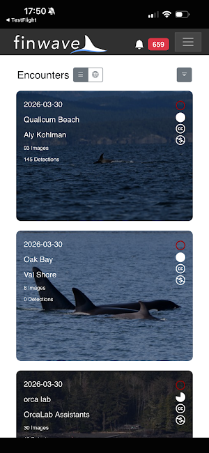 Finwave Screenshot 2