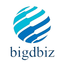 Bigdbiz Marketing
