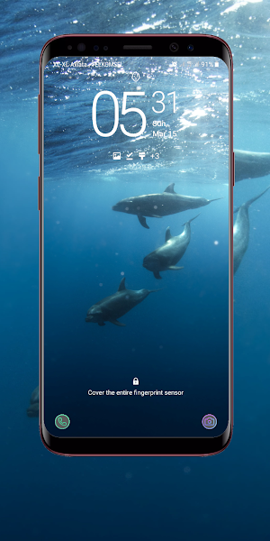 Dolphin Wallpaper Screenshot 1