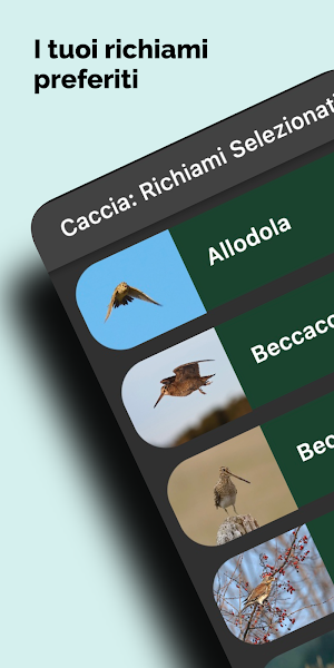 Caccia: Richiami Selezionati Screenshot 0