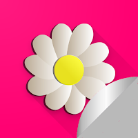 Figurinhas de Flores