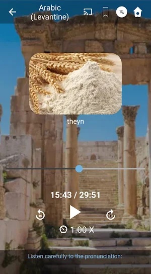 Learn Levantine Arabic. Speak Levantine Arabic. Screenshot 3