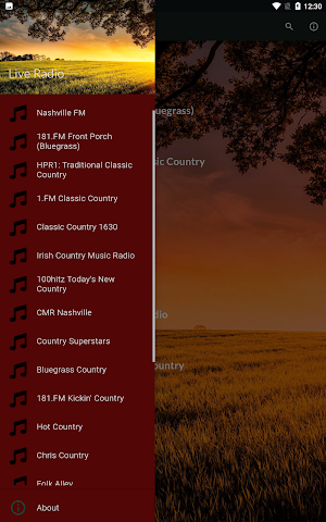 Country Radios Live Screenshot 1
