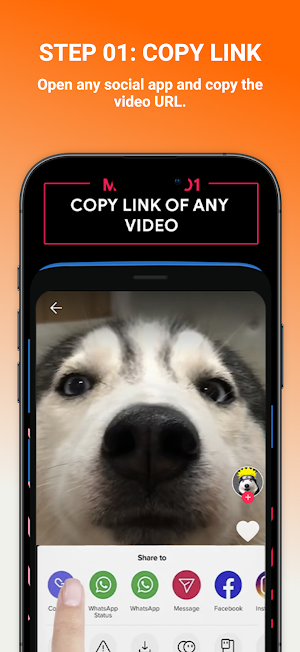 Aura Video Downloader: Save HD Screenshot 1