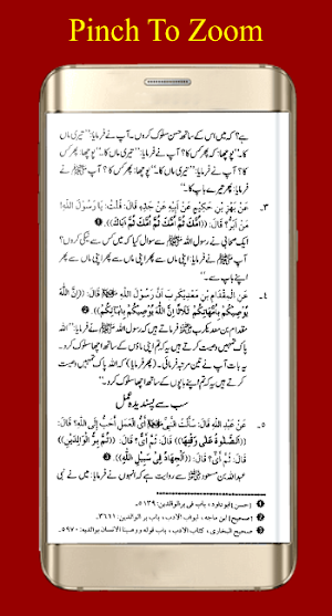 Waldain Aur Aulaad K Haqooq Screenshot 3
