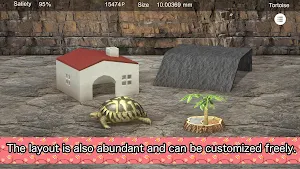 Tortoise to grow relaxedly Screenshot 2
