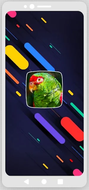 Parakeet Sounds Screenshot 0