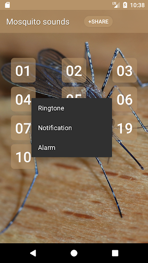 Mosquito sounds Screenshot 1