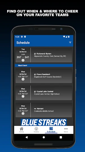 Woodstock Blue Streaks Screenshot 1