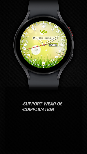 SamWatch Classic Spring 2022 Screenshot 3