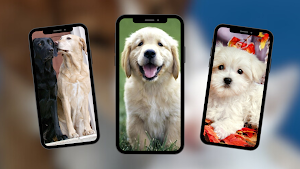 Dogs Wallpaper Screenshot 1