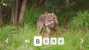 Алфавит для детей - Космо Панда Screenshot 0