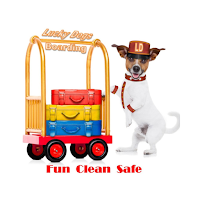 Lucky Dogs Boarding of Texas