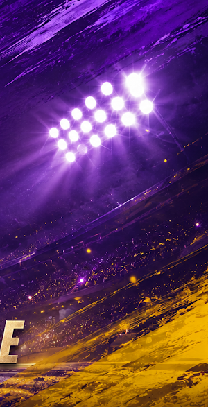 Hollywoodbets Screenshot 3