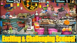 Hidden Objects Florida Travel - Free Object Game Screenshot 2