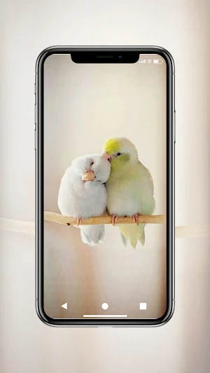 Love Birds Wallpaper Screenshot 0