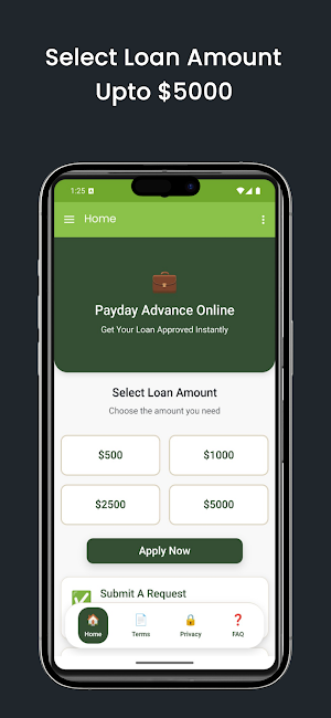 Payday Advance Online Screenshot 1