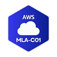 AWS MLA-C01 Dojo Exam