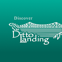 Discover Ditto Landing