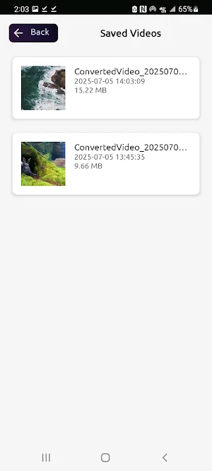 Mkv to mp4 converter Screenshot 1