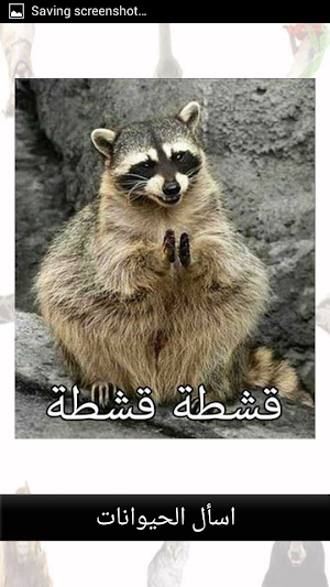 اسأل الحيوانات المُضحكة Screenshot 0