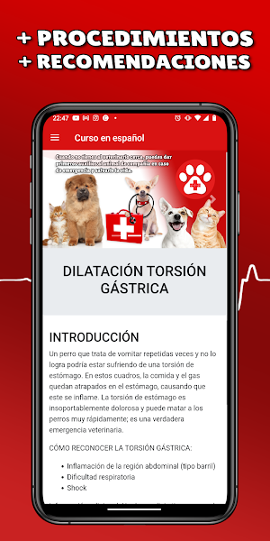 Primeros auxilios para mascota Screenshot 3