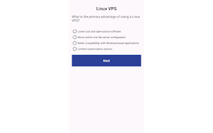 VPS Windows LLC Screenshot 3