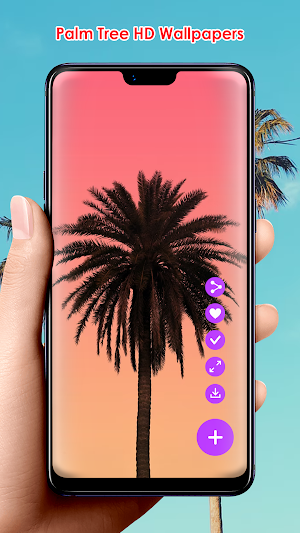 Palm Tree HD Wallpapers Screenshot 1