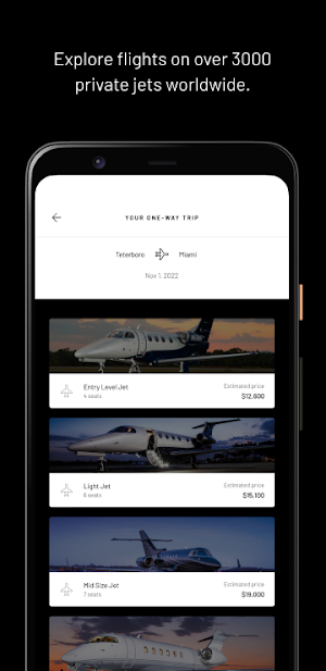 FlyBLACK Screenshot 1