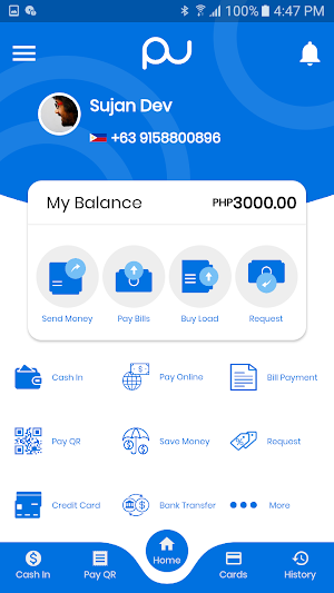 PayWallet Screenshot 2