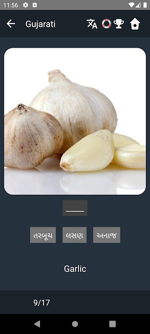 Gujarati Language Tests Screenshot 3
