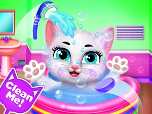 Kitty Care Pet Nursery Daycare Screenshot 1
