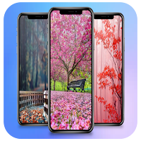 Autumn Wallpapers Backgrounds