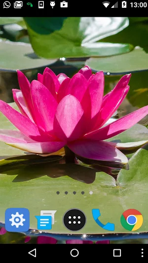 water flower wallpaper Screenshot 1