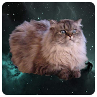SpaceFlix