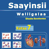 Saayinsii walii galaa kutaa 7