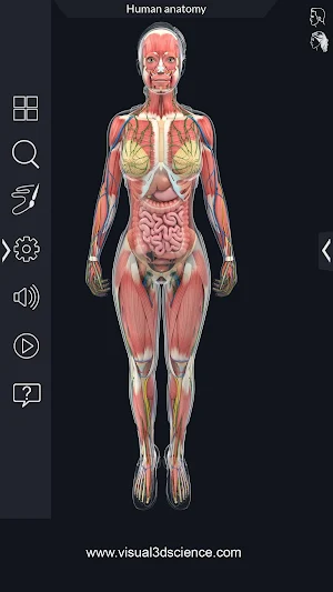Human Anatomy Screenshot 3