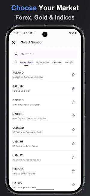 Forex Pip Value Calculator Screenshot 1