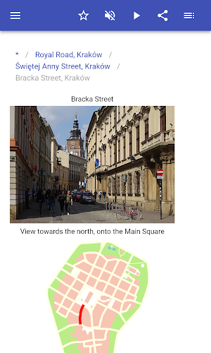 Streets in Krakow Screenshot 3