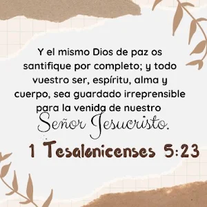 Versículos Bíblicos del Día Screenshot 2