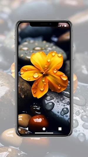Flower Wallpaper HD Screenshot 3
