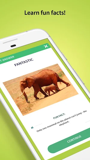 General Knowledge Quiz - Fun Trivia Questions Screenshot 3