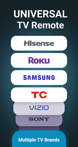 Universal TV Remote for All TV Screenshot 0