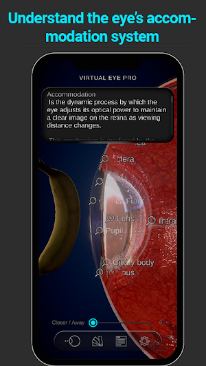 Virtual Eye Pro Screenshot 1