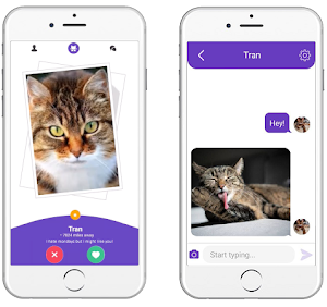 Kitty Nip - Cat Dating App Screenshot 2