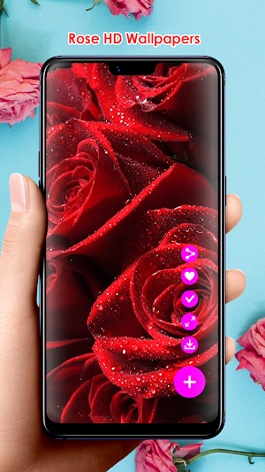 Rose HD Wallpapers Screenshot 1