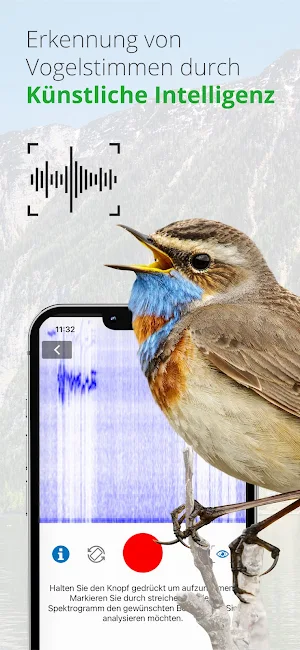 Vögel in Österreich Screenshot 2