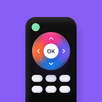 Universal TV Remote Control