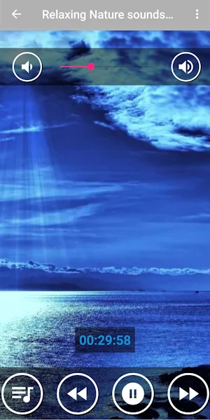 Stress Relief : Relaxing Music Screenshot 0