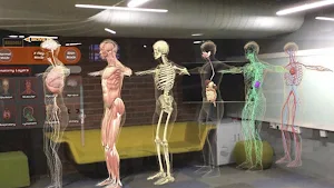 Human Anatomy Mixed Realit‪y Screenshot 0